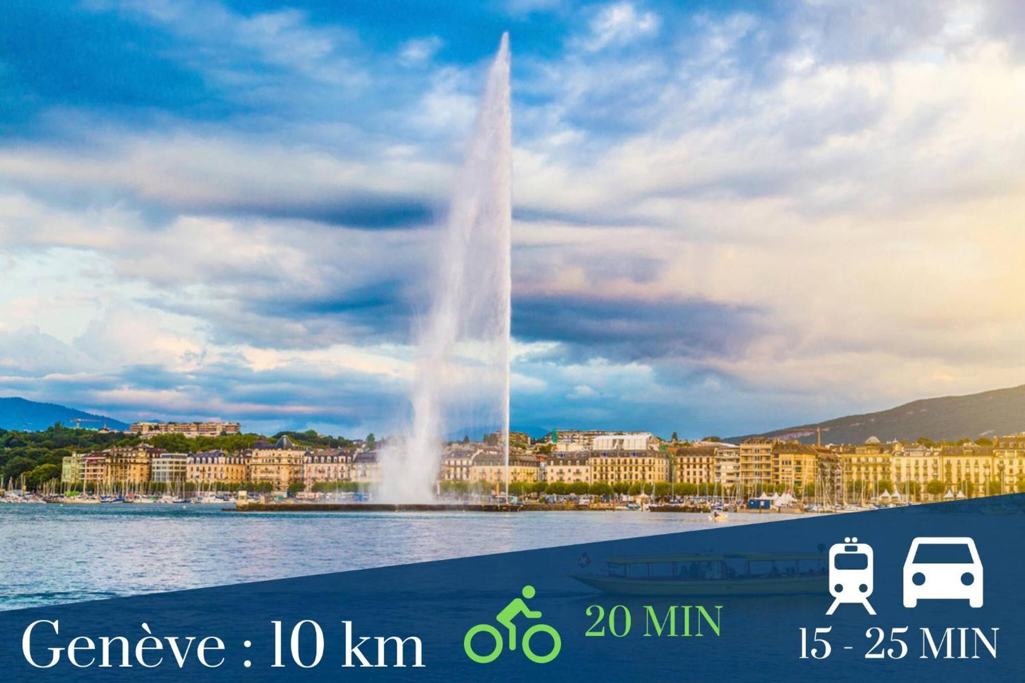 Homey Superchill - Appartement Moderne Et Tout Equipe - Netflix Et Wifi Inclus - Situe En Hyper-Centre - Proche Geneve Аннемас Экстерьер фото
